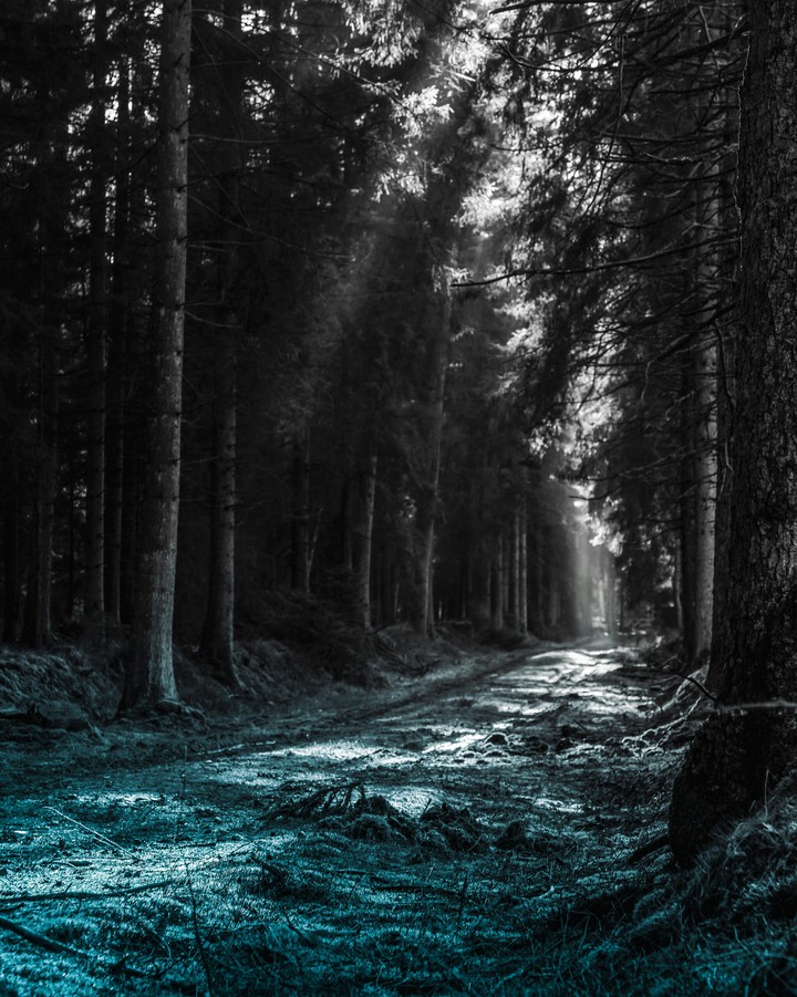 LONELY ROAD