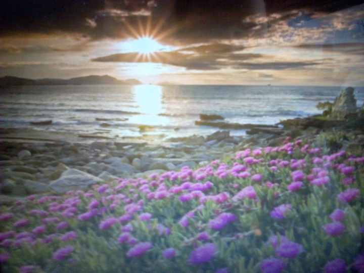 природа