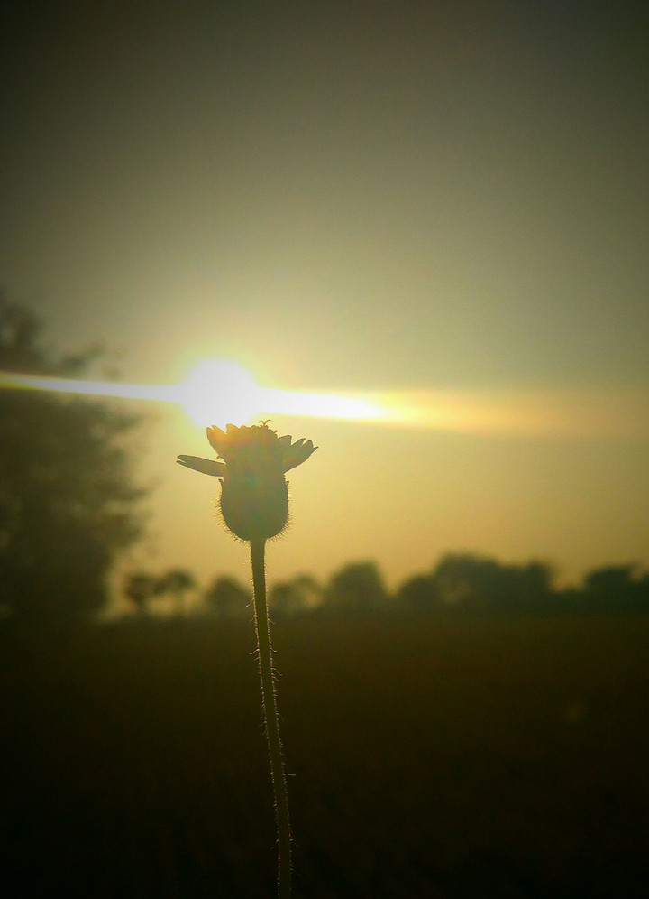 lovely morning