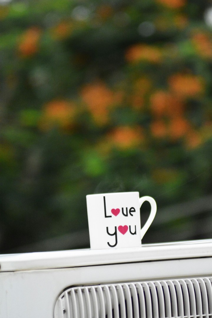 love