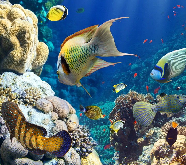 Underwater