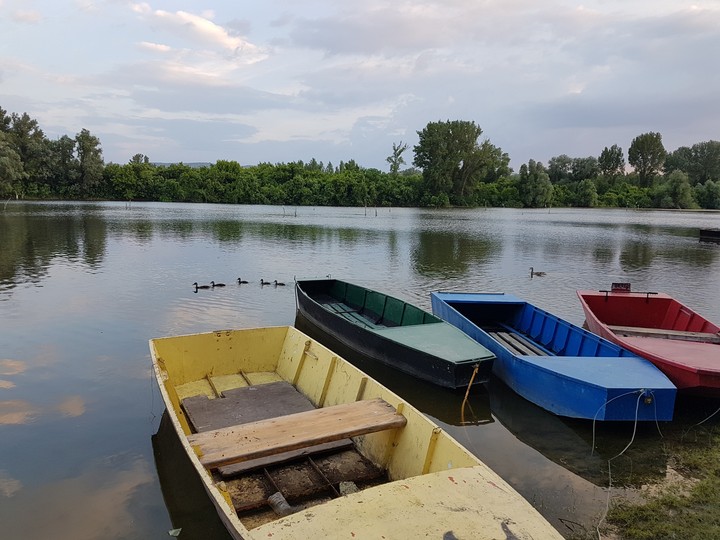Boats on Danube
