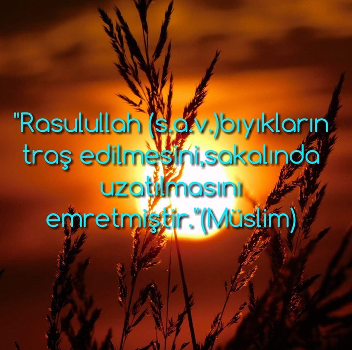 Sözler