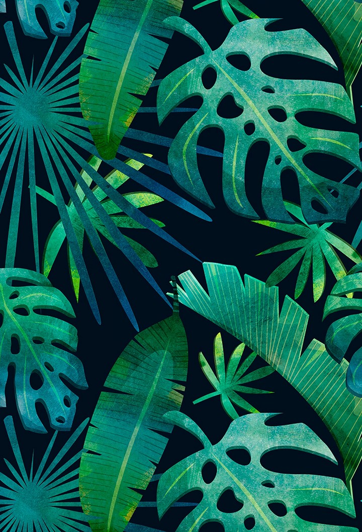 Leaves