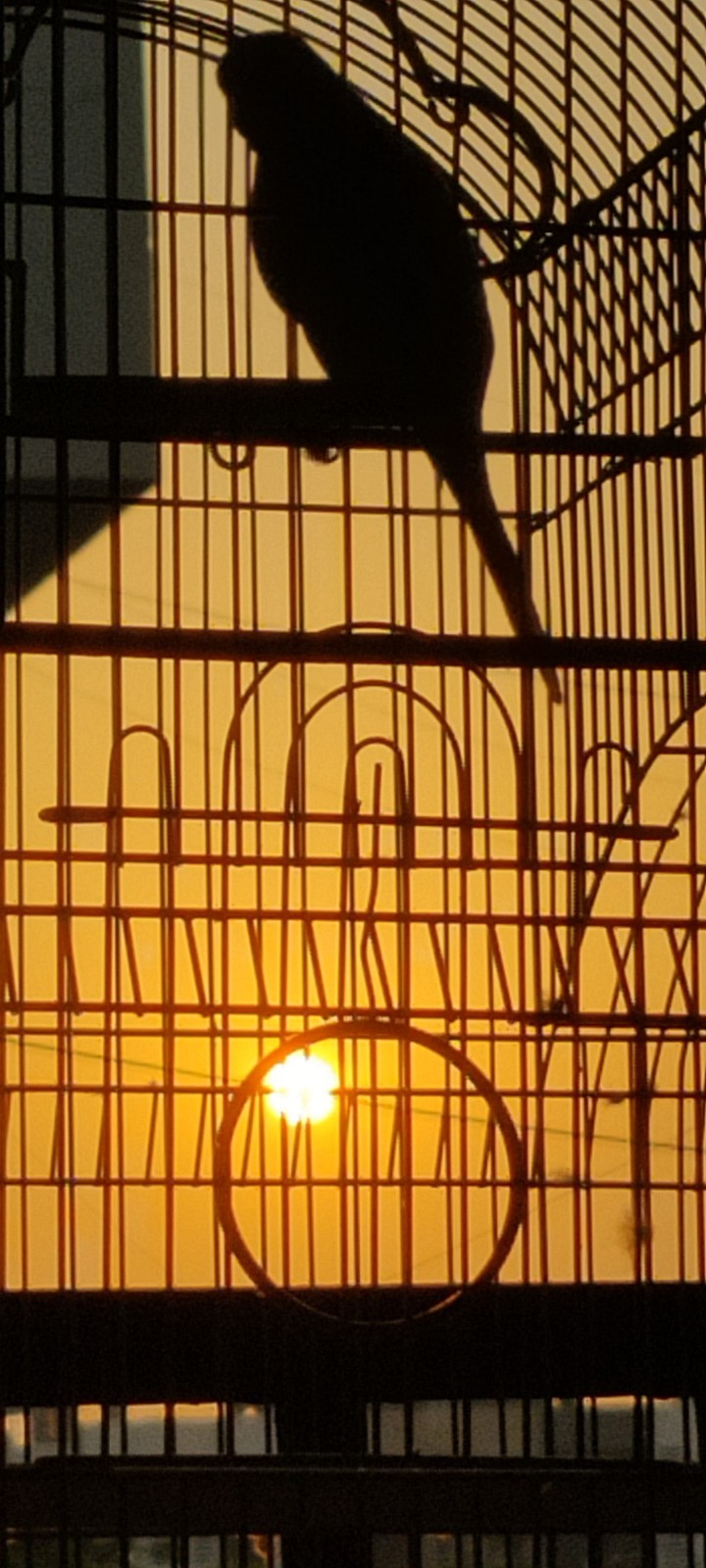 sun set