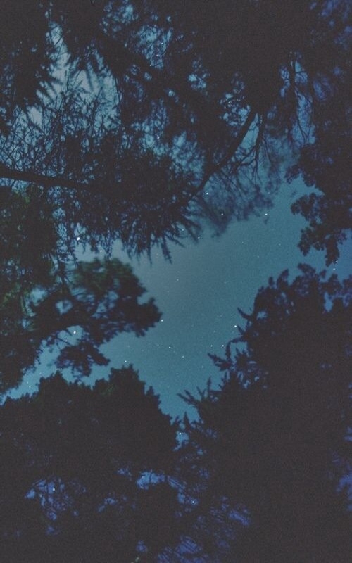 night