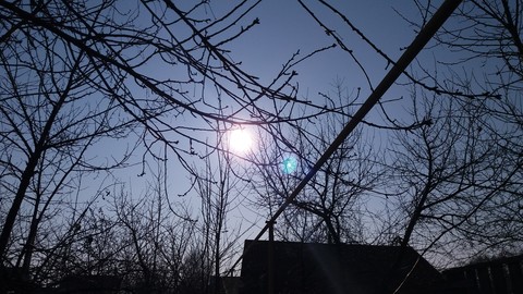 fonds d'écran twig, sky