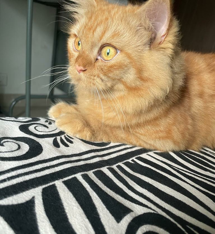 ❤️❤️
