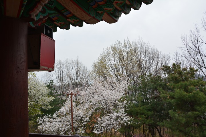 풍경이미지