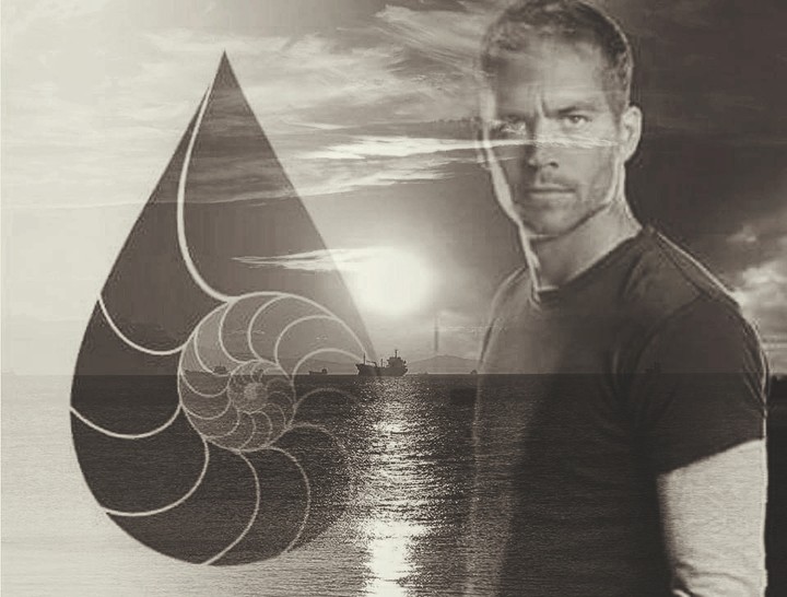 memoire paul walker
