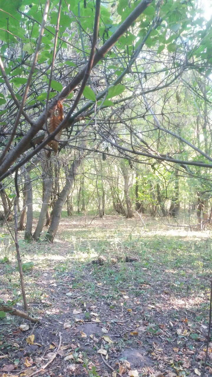 September sunny day)))