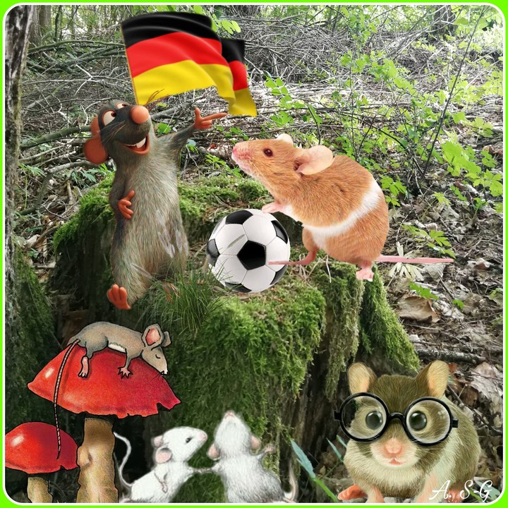 Fußball WM mal anders 