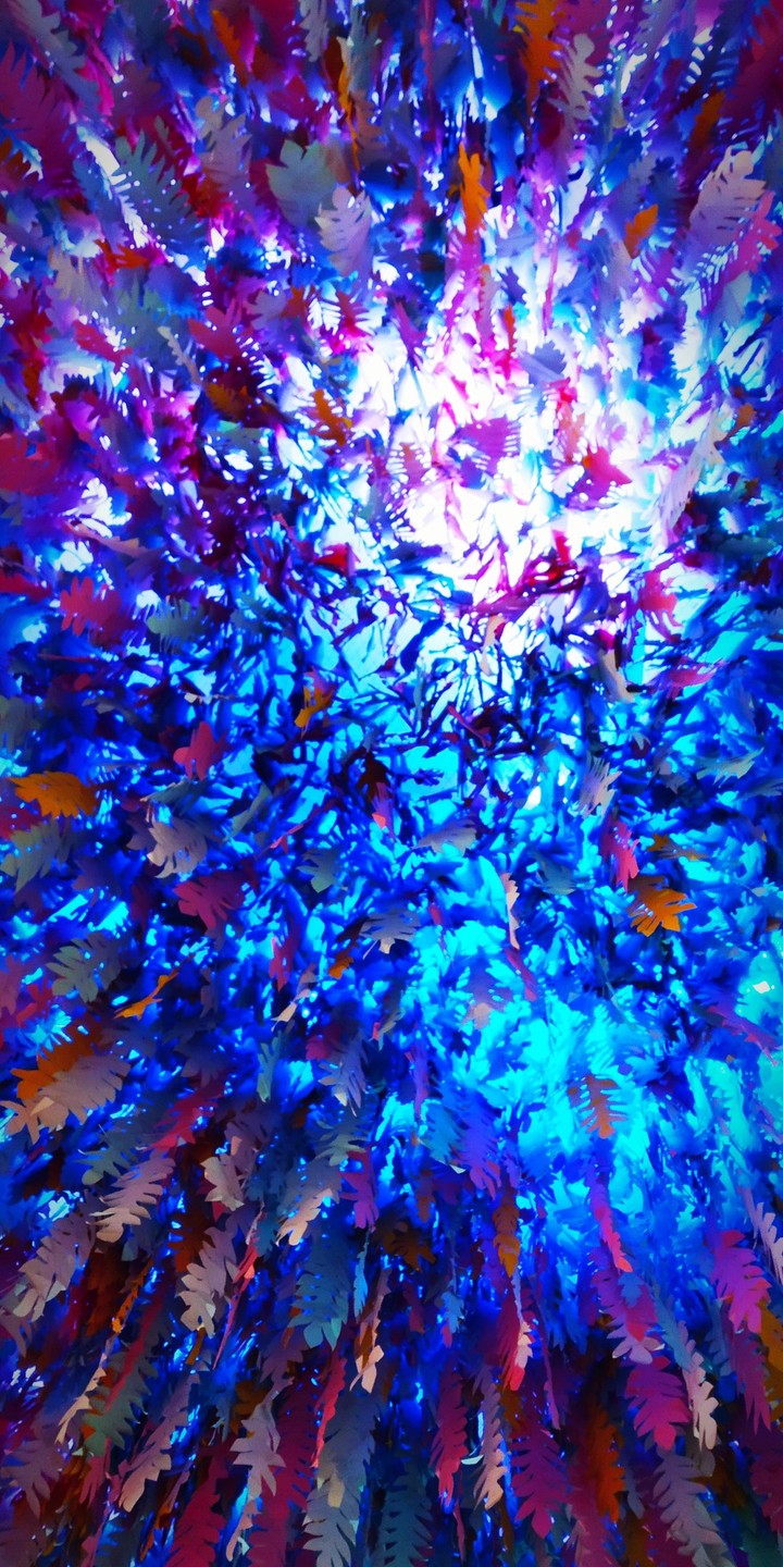 colours and lights