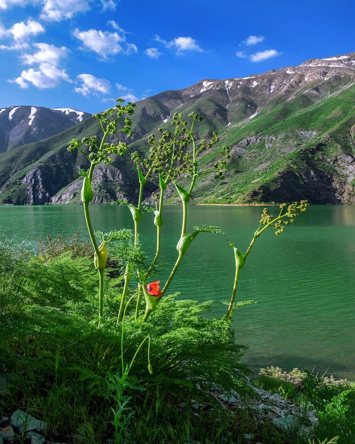 Gahar Lake