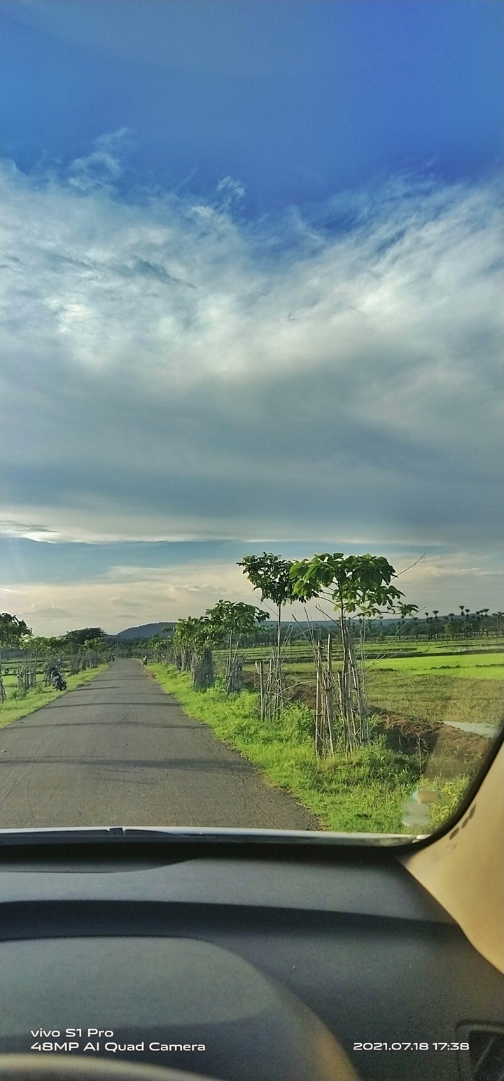 my photography