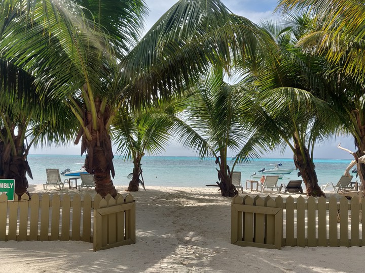 Beach view