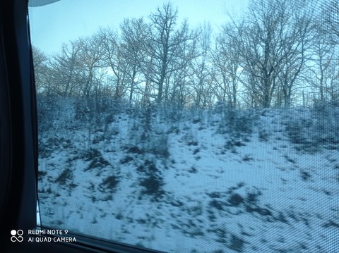 Winter