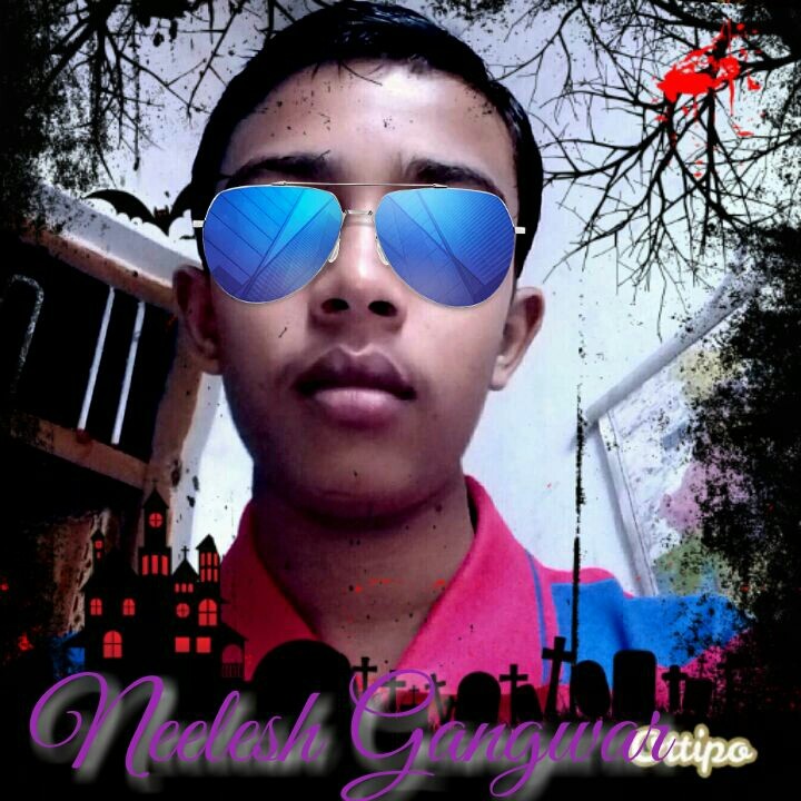 Nice pick