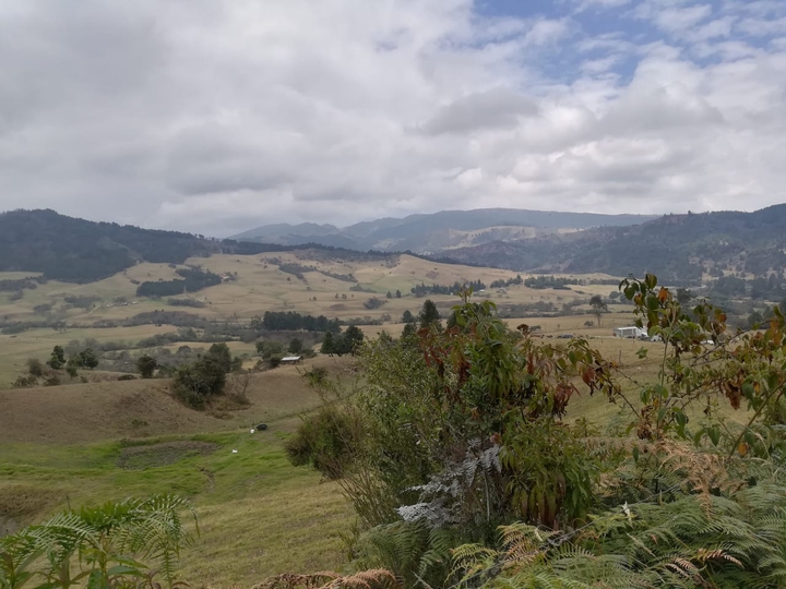 Sabana de Bogotá