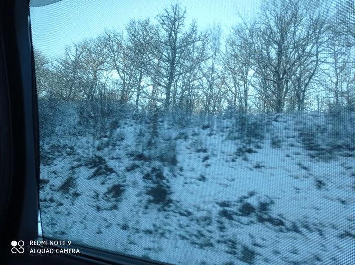 Winter