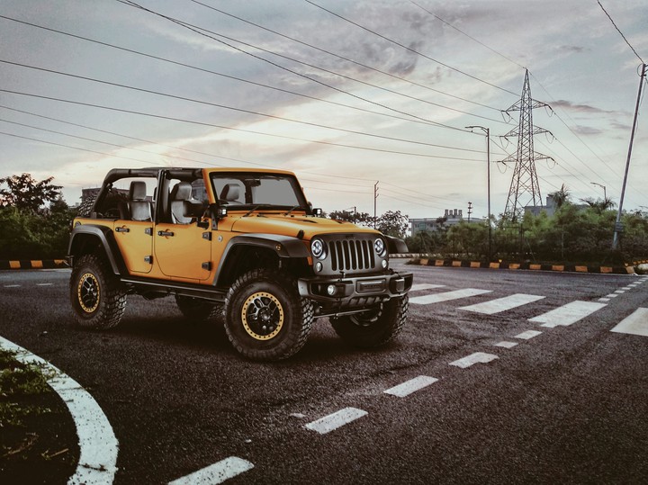 YELLOW BEAST