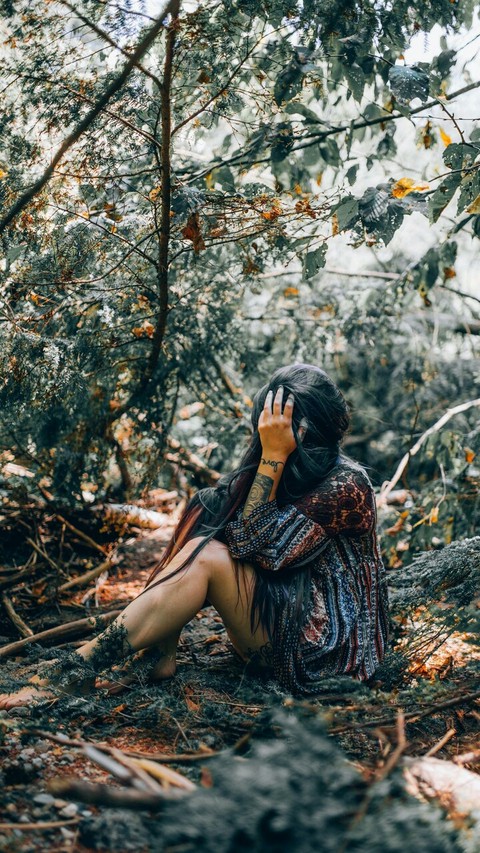 rainforest, 树木壁纸