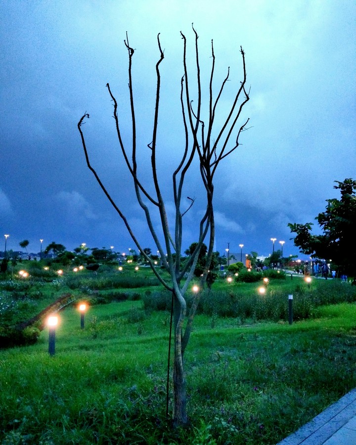 Nature