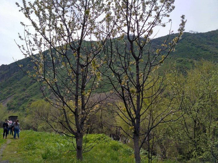 горы в Алматы