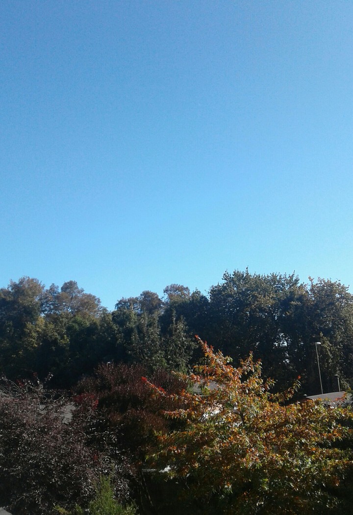 its a beautiful day