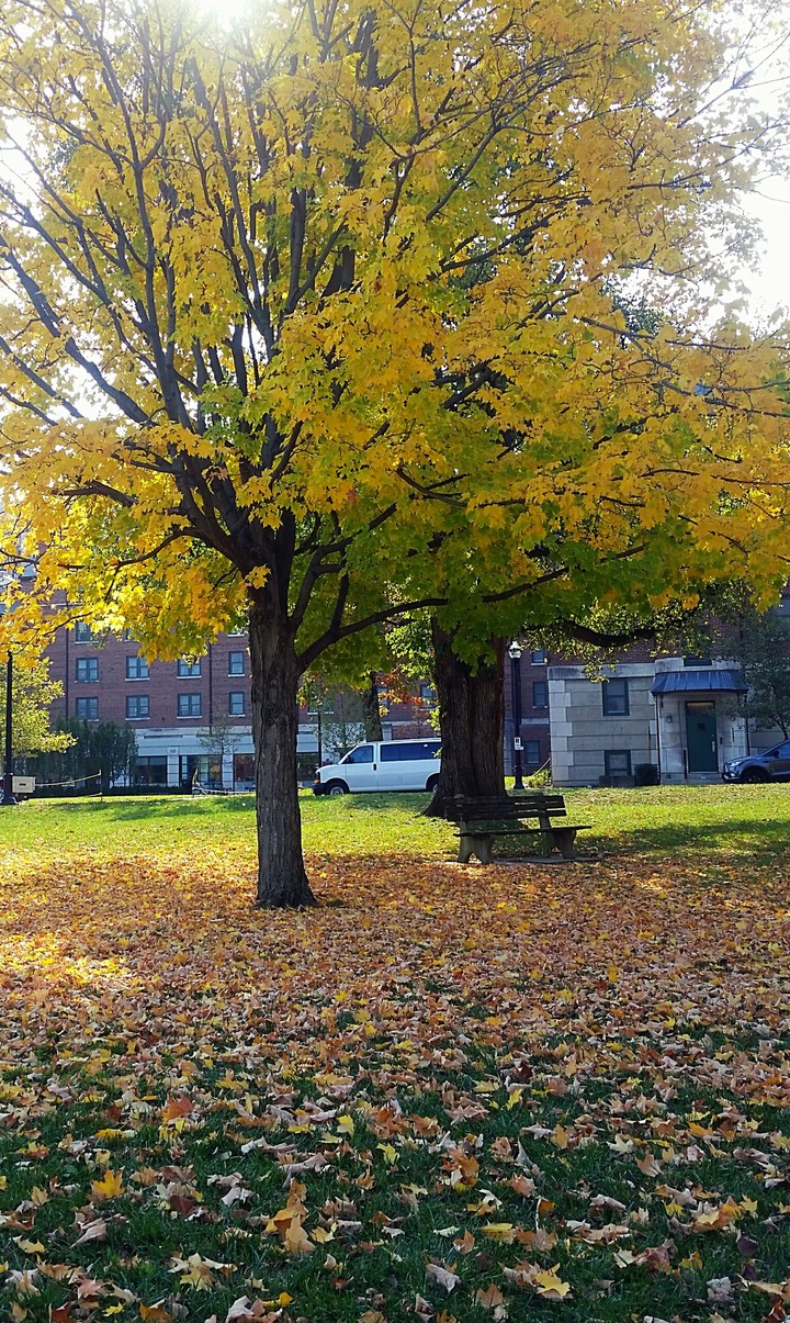 warm fall