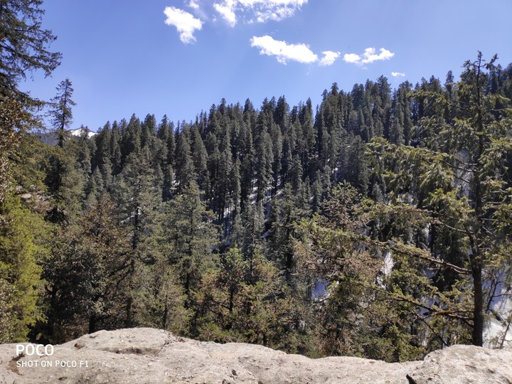 Nature