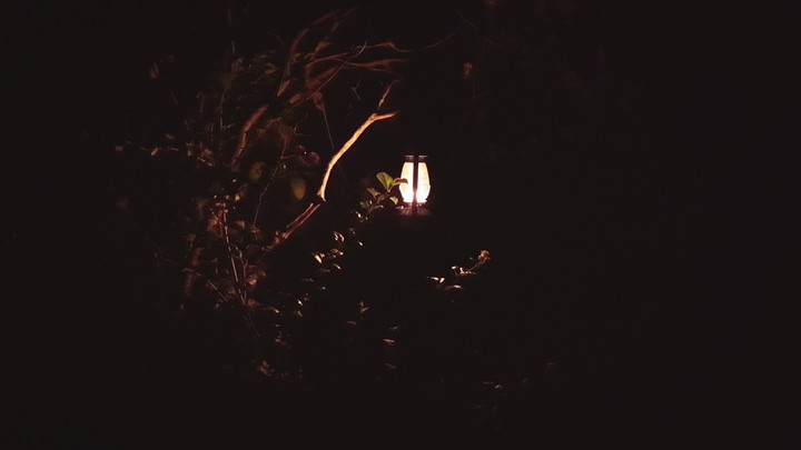 Dark