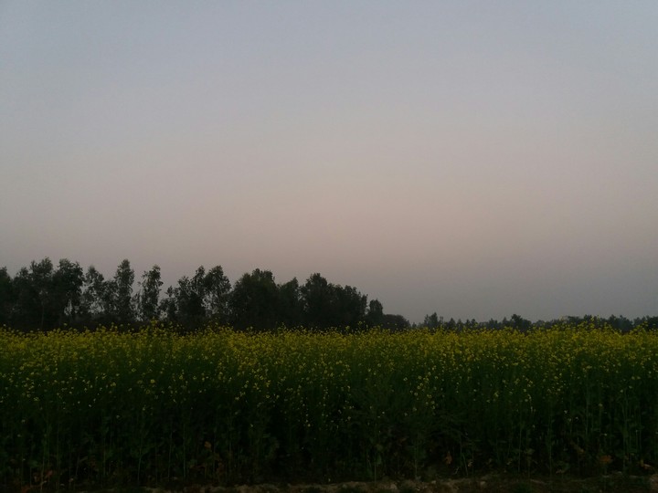 sky