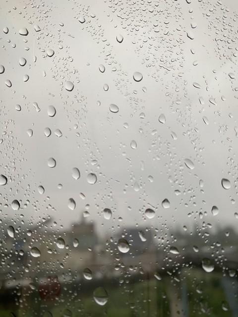 daytime, drizzle wallpapers