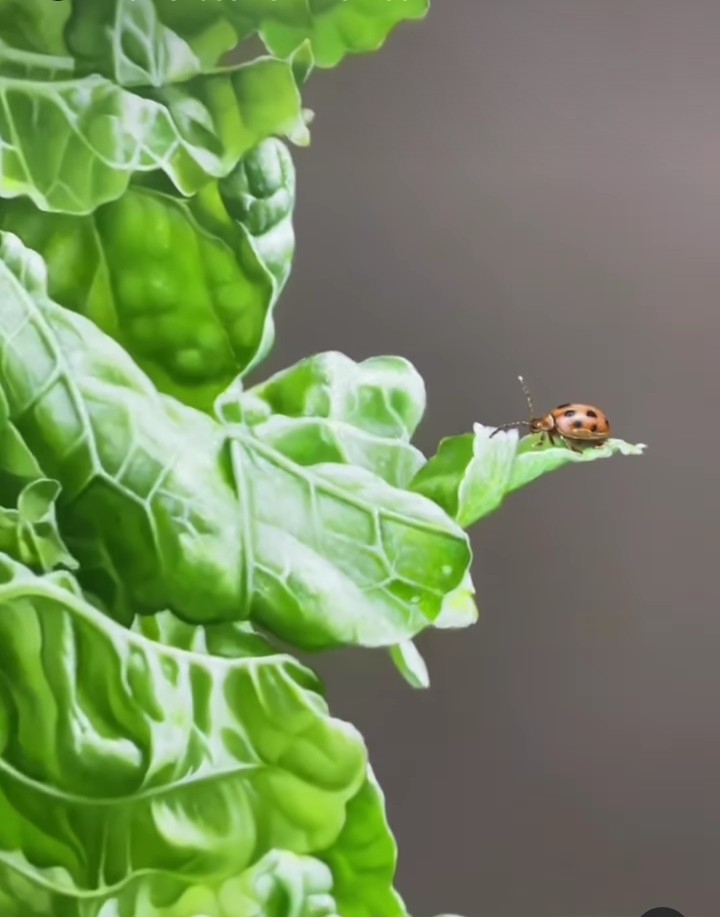 BUGS LIFE