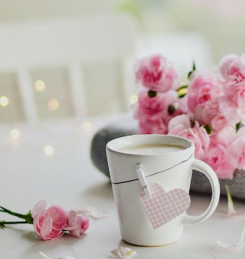 fondos de pantalla teacup, plant