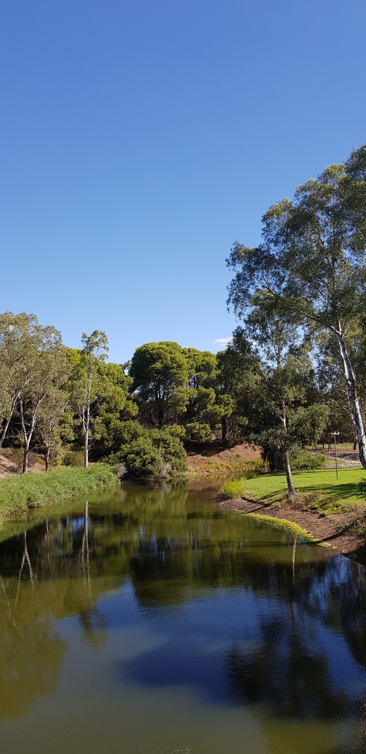 duck pond