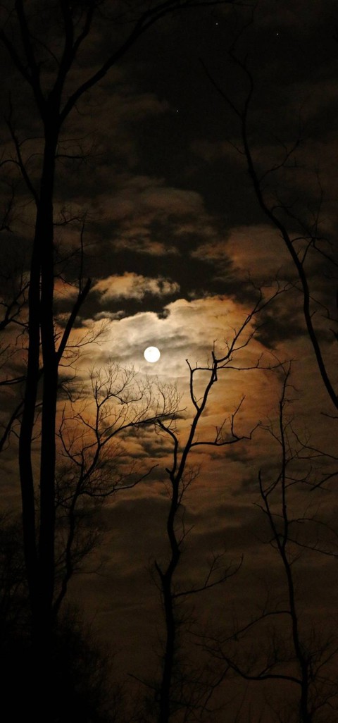 suttep