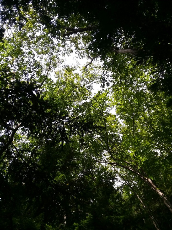 still looking up