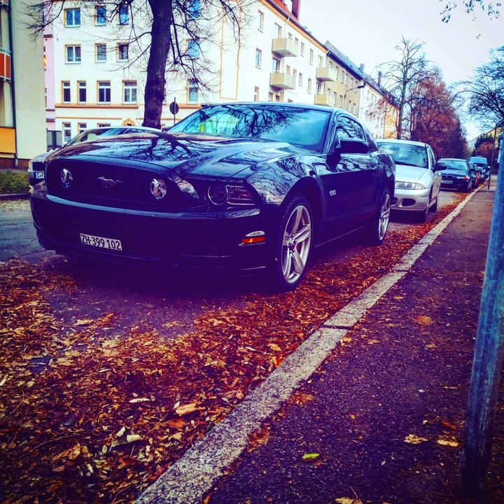 Muscle Car - Ford Mustang
