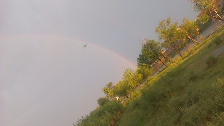 Rainbow