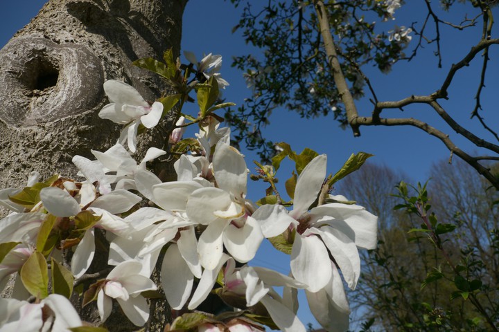 Frühling