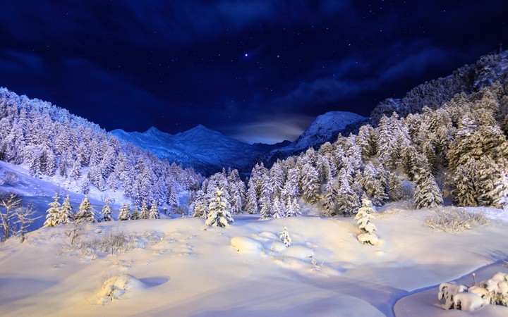 Winter night
