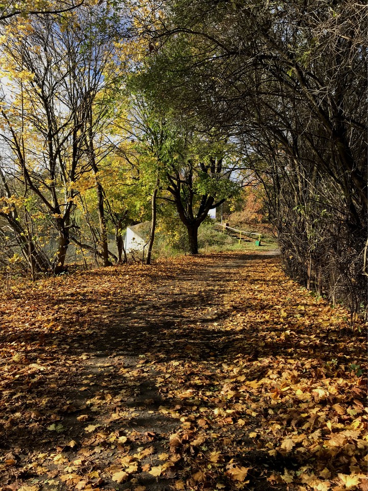 Autumn