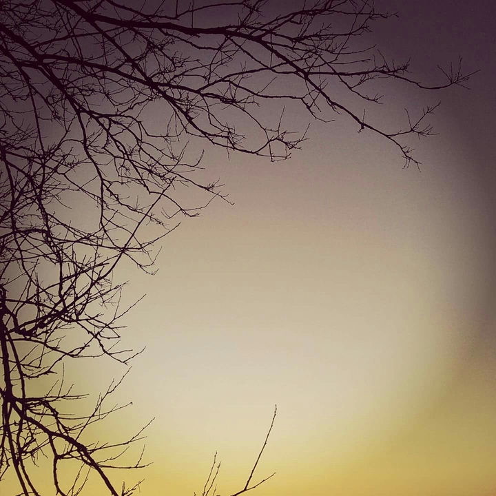 Shadow night