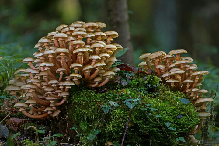 ☺