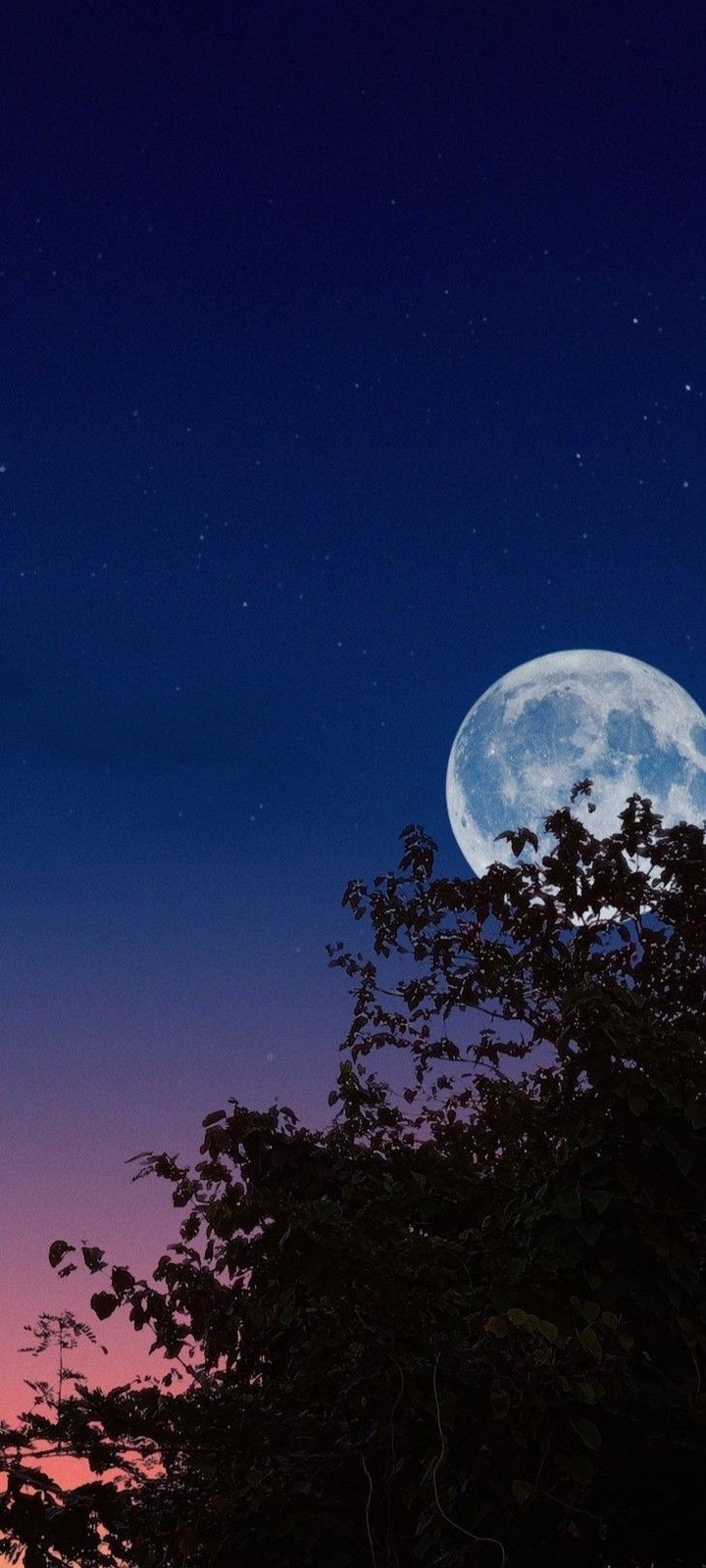 fondos de pantalla star, Midnight
