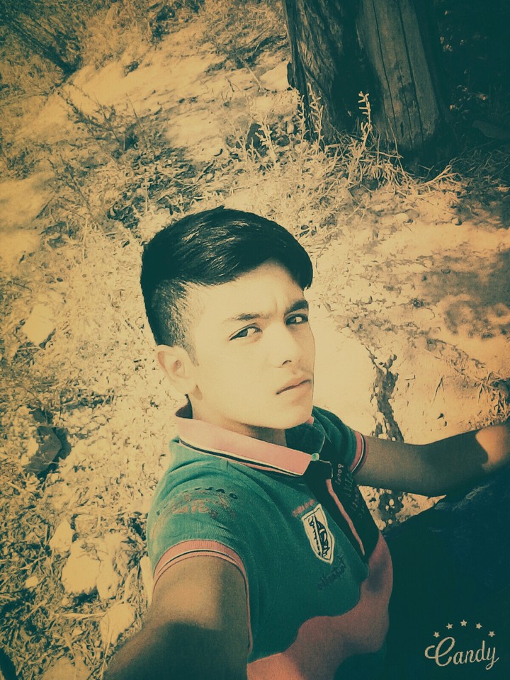 reza