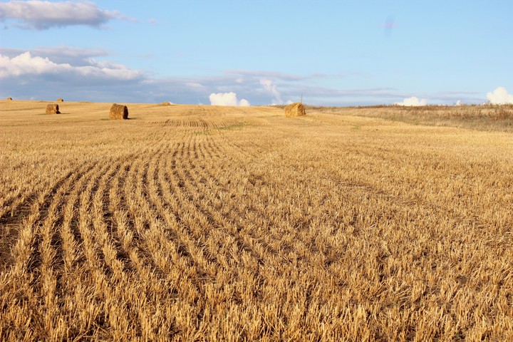 Haystack