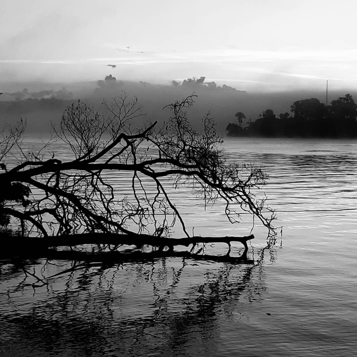 frontière Brésilienne / Guyane